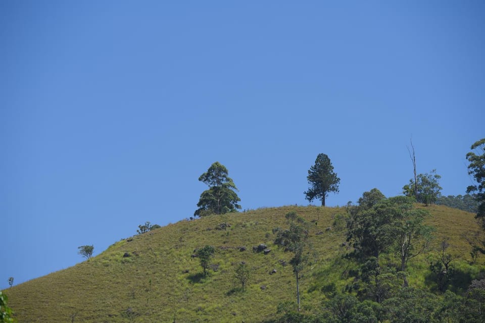 Natural landscape, Hiking