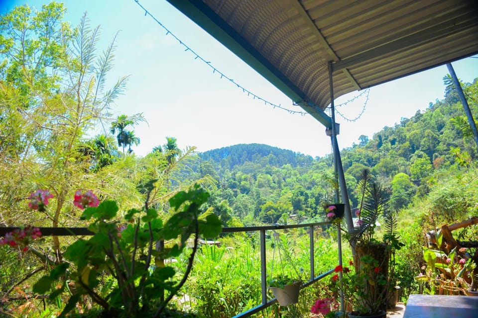 Garden, Balcony/Terrace, Garden view