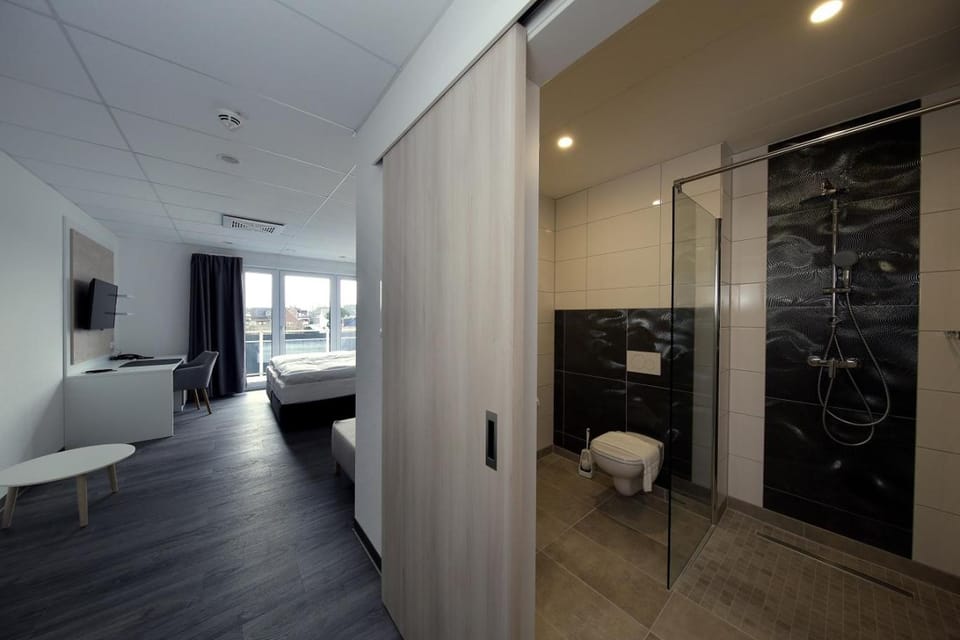 Shower, Toilet, Bathroom, Living room, Photo of the whole room, Bedroom
