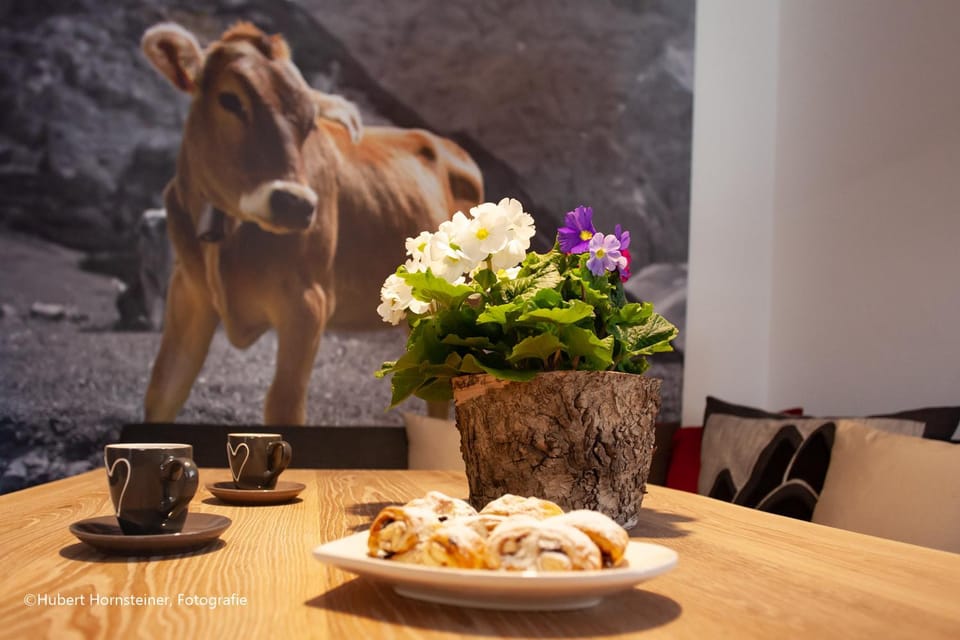 Seating area, Dining area, Pets