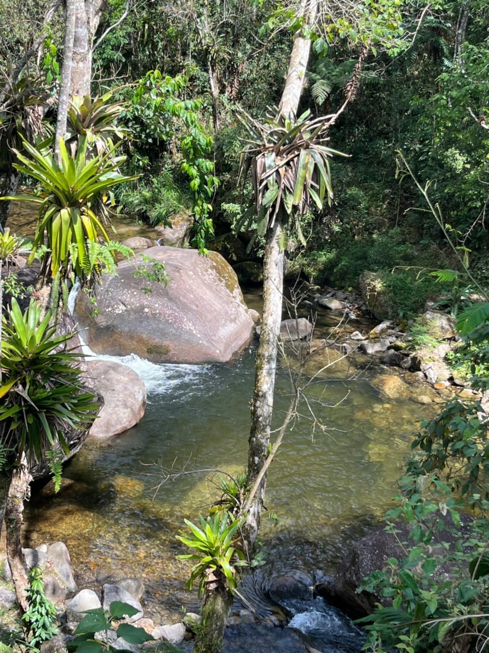 Day, Natural landscape, River view