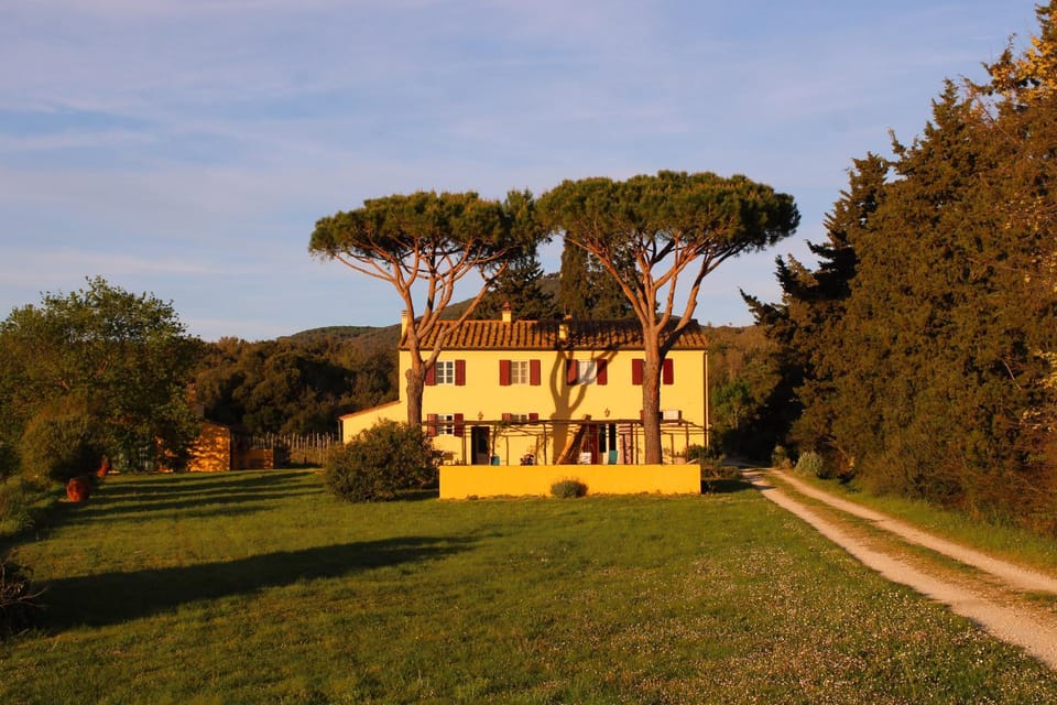 Property building, Garden, Sunset
