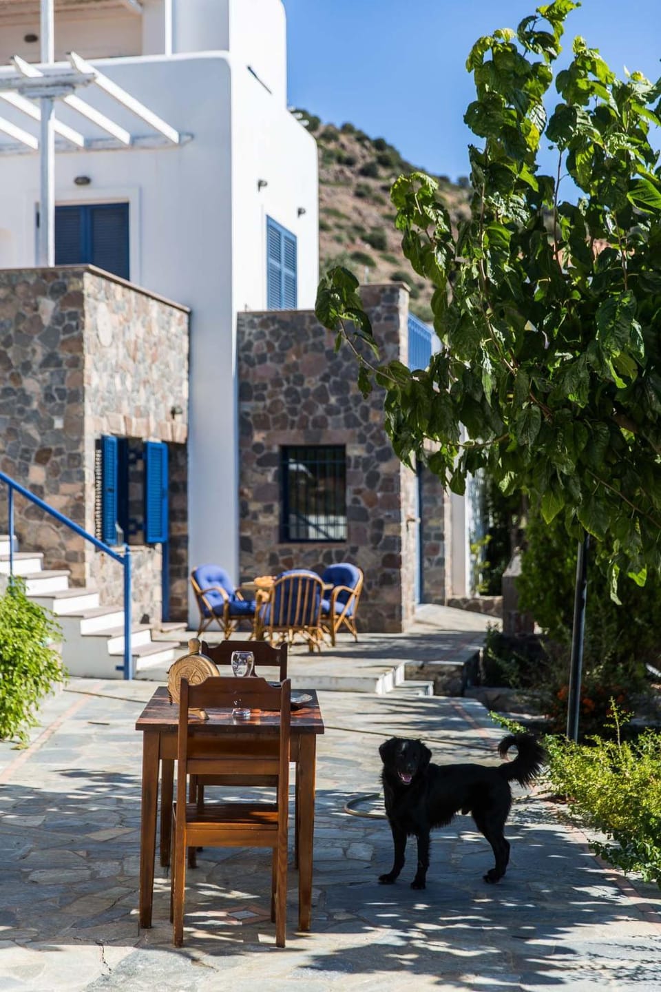 Property building, Patio, Facade/entrance, Garden, On site, Pets, Garden view