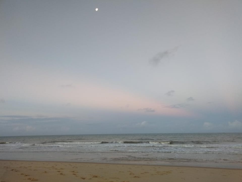 Natural landscape, Beach, Sunset