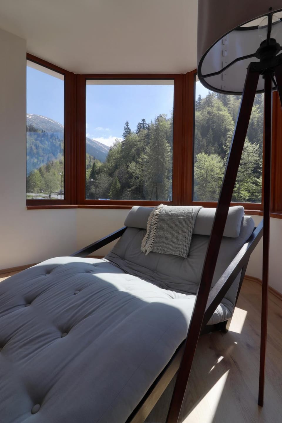 Living room, Mountain view
