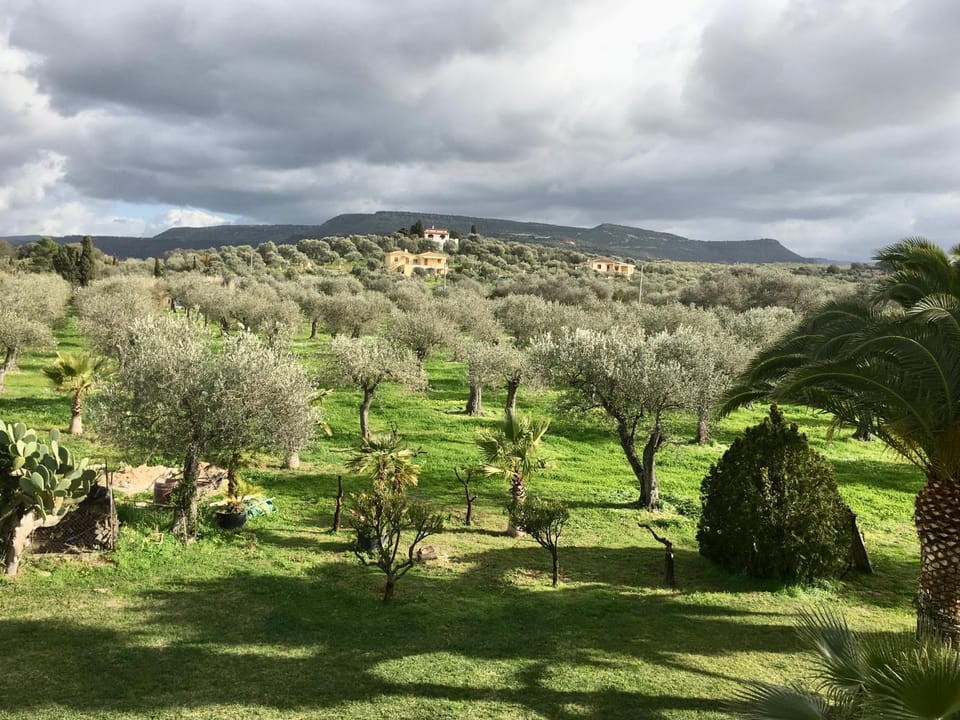 Garden view