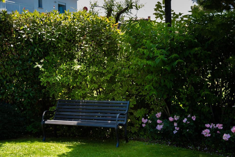 Spring, Day, Natural landscape, Garden, Garden view