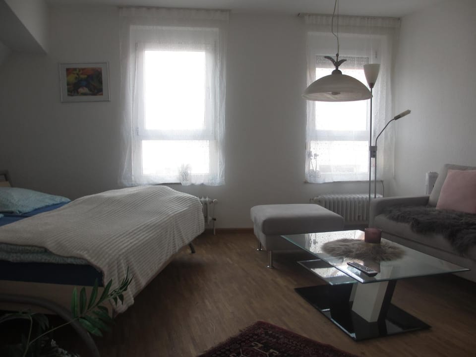 Fewo Am Rathausplatz Apartment in Freiburg