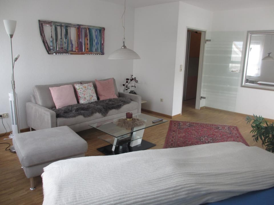 Fewo Am Rathausplatz Apartment in Freiburg