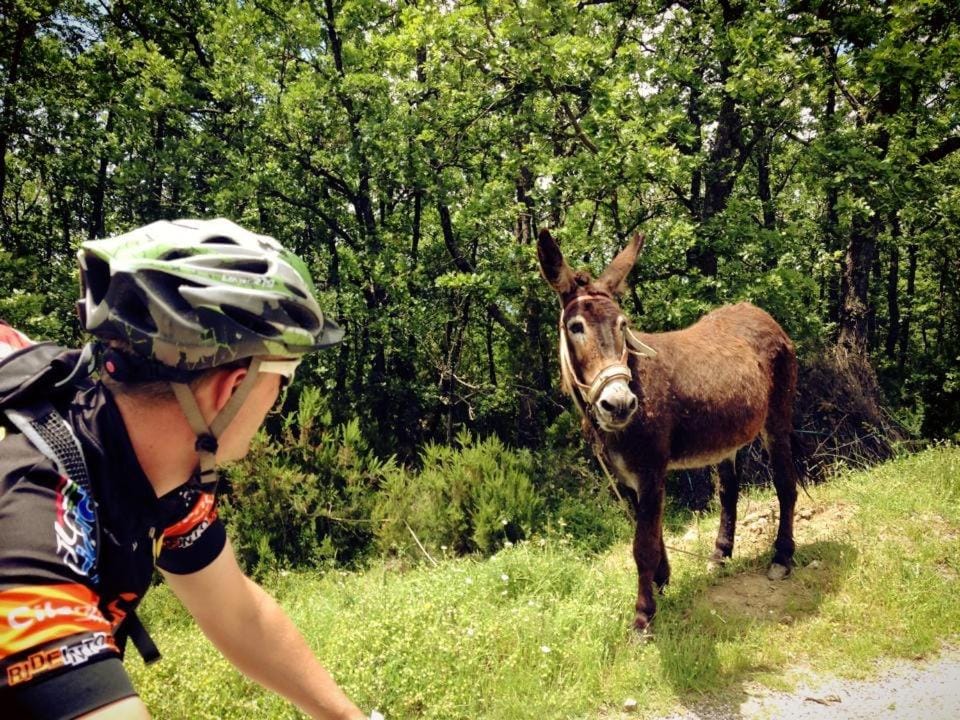 Cycling