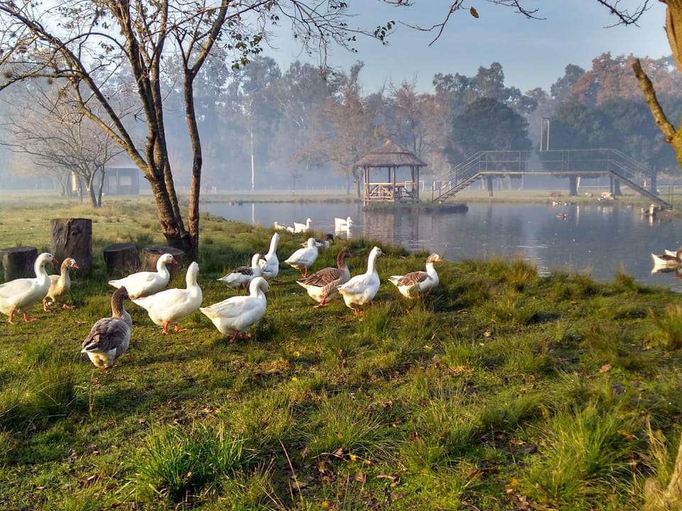Day, Natural landscape