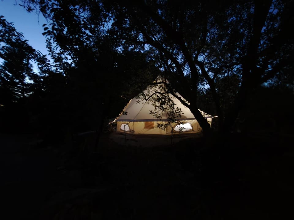 Night, Natural landscape