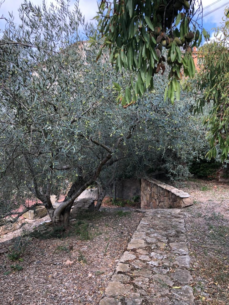 Natural landscape, Garden