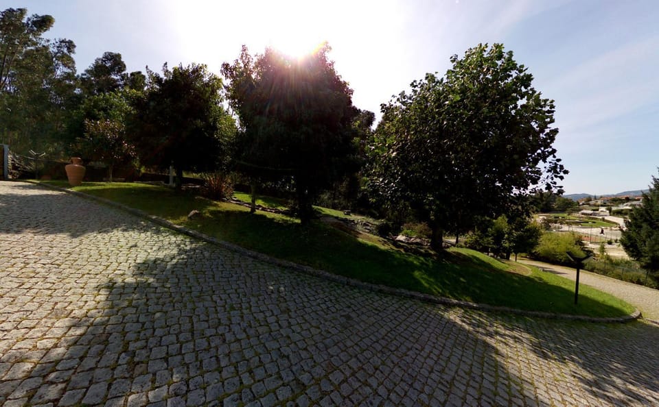 Natural landscape, Garden, Garden view
