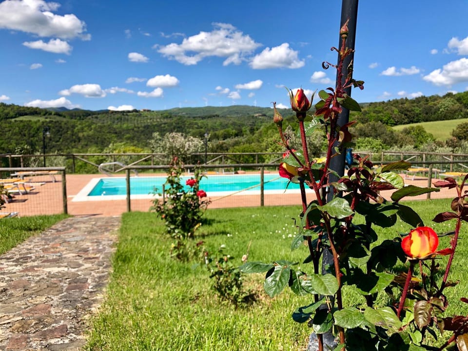 Garden, Balcony/Terrace, Pool view, Swimming pool, Swimming pool, sunbed
