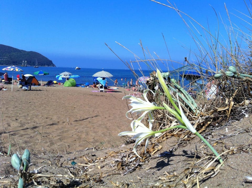 Nearby landmark, Restaurant/places to eat, Natural landscape, Fishing, Horse-riding, Snorkeling, Beach, Tennis court, Windsurfing, Canoeing, Hiking, Cycling, Diving, Evening entertainment, Supermarket/grocery shop, Shopping Area, Entertainment