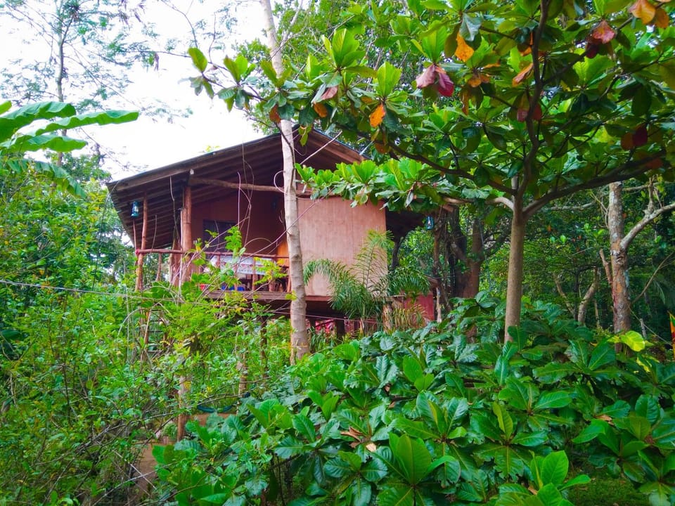 Akash Treehouse Vacation rental in Dambulla