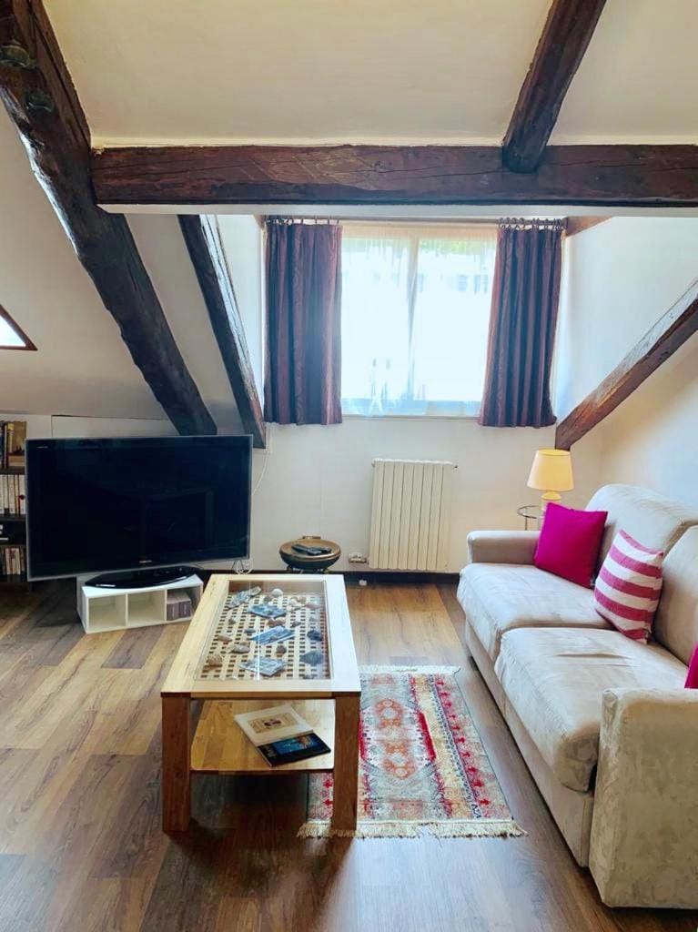Cà Bonivento Apartment in Lido di Venezia