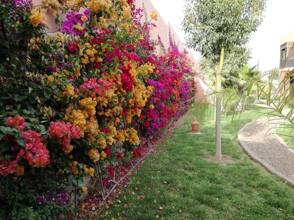Garden, Garden view