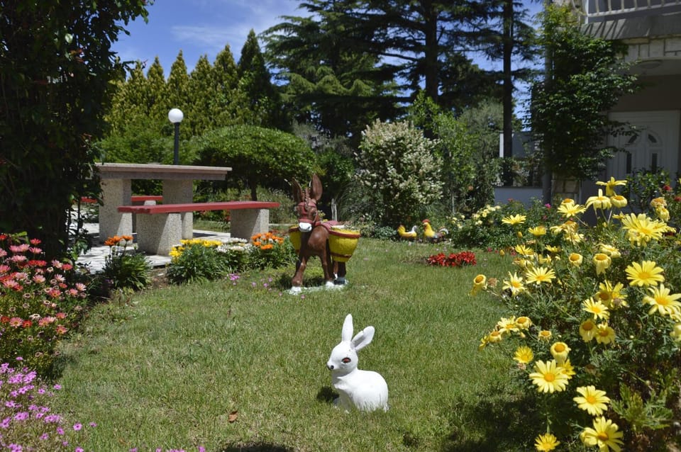 Day, Natural landscape, Garden, Garden view
