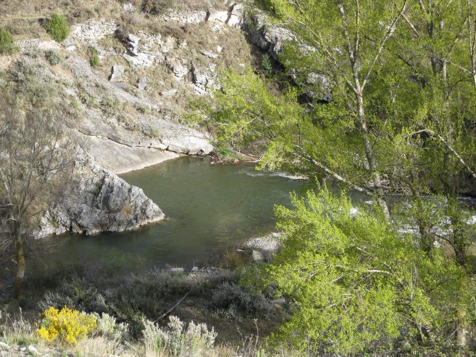 Natural landscape, River view