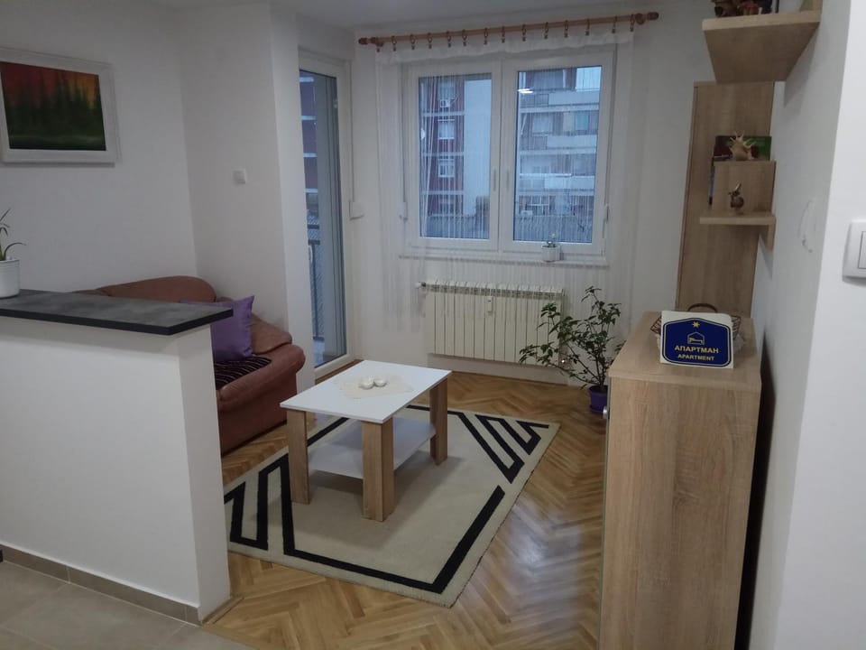 Apartman Ana Apartment in Vojvodina