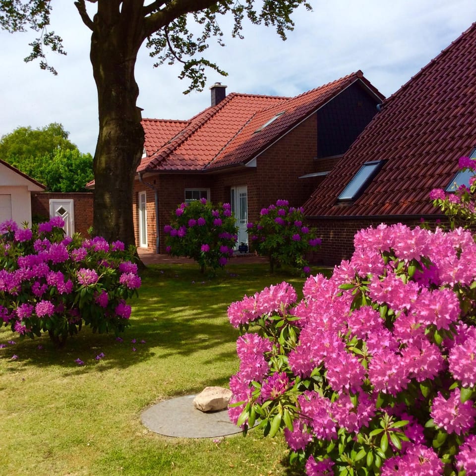 Ferienwohnung Albers Apartment in Lower Saxony, Germany