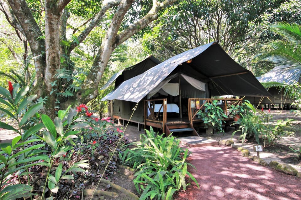 Expediciones Mexico Verde Nature lodge in State of Puebla