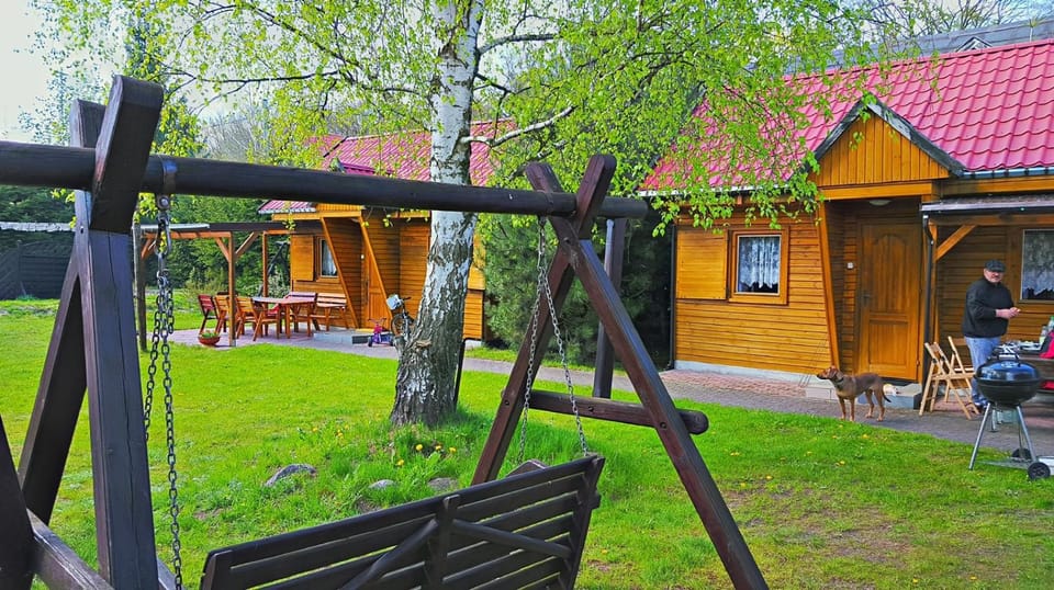 Garden, Garden view, Inner courtyard view