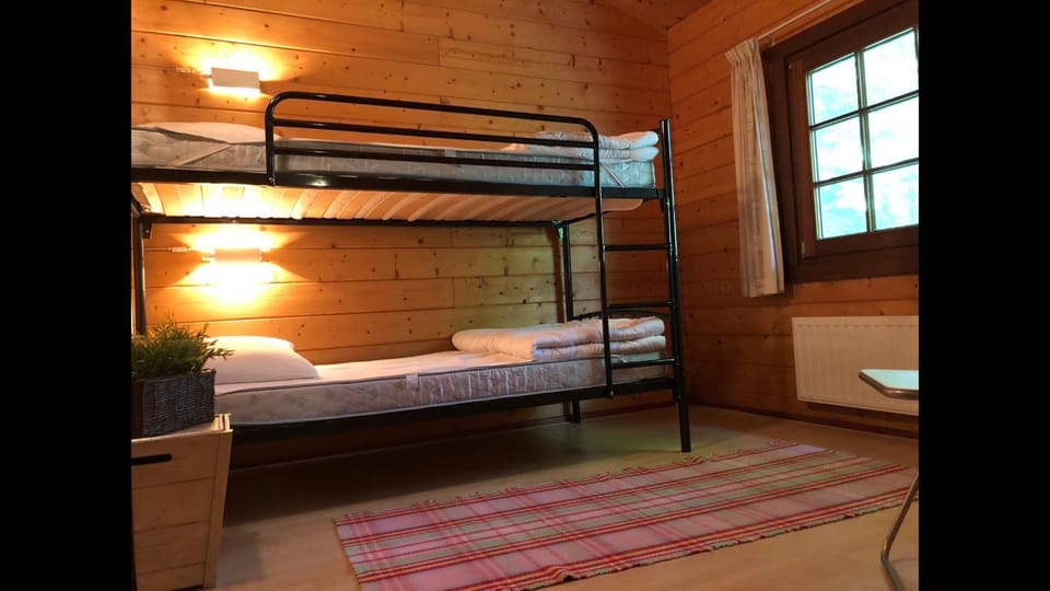 Bed, Photo of the whole room, Bedroom, bunk bed