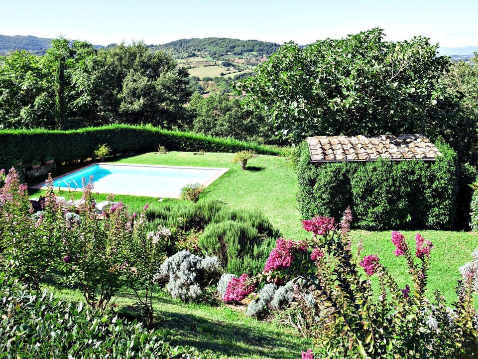 Garden, Swimming pool