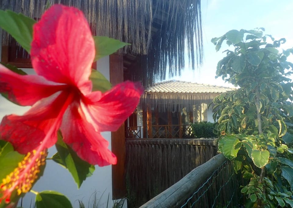 Day, Garden, Garden view