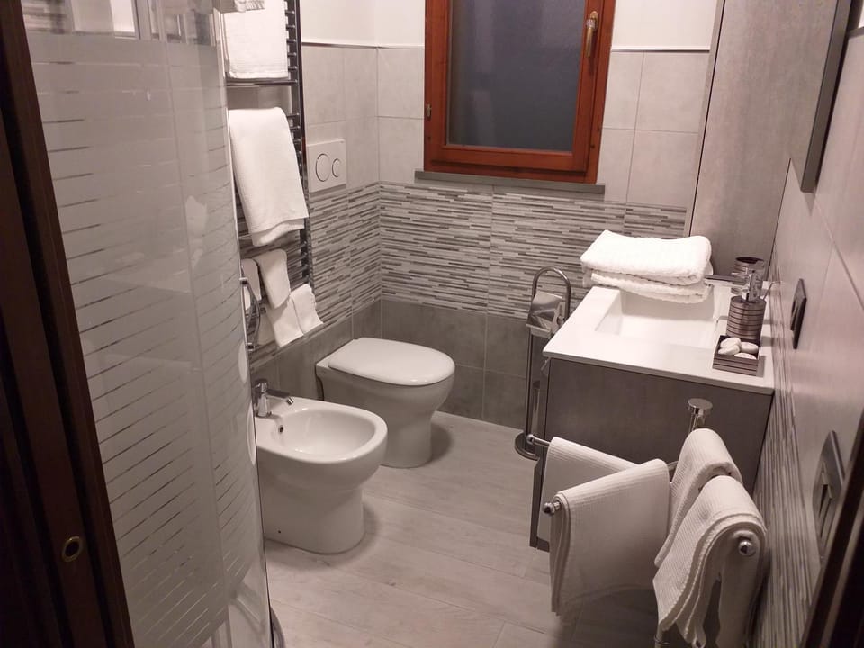 Toilet, Bathroom, bidet, towels