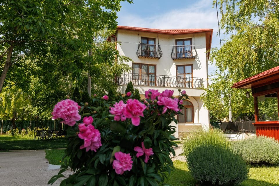Property building, Spring, Day, Garden, Garden view