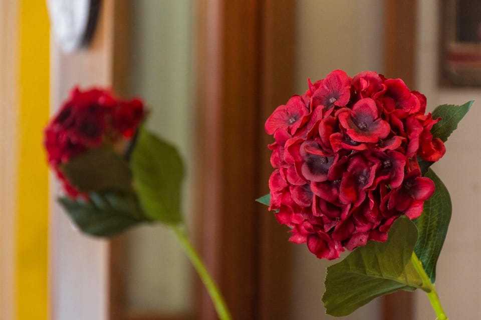 Flat Imperador Apartment in State of Rio de Janeiro