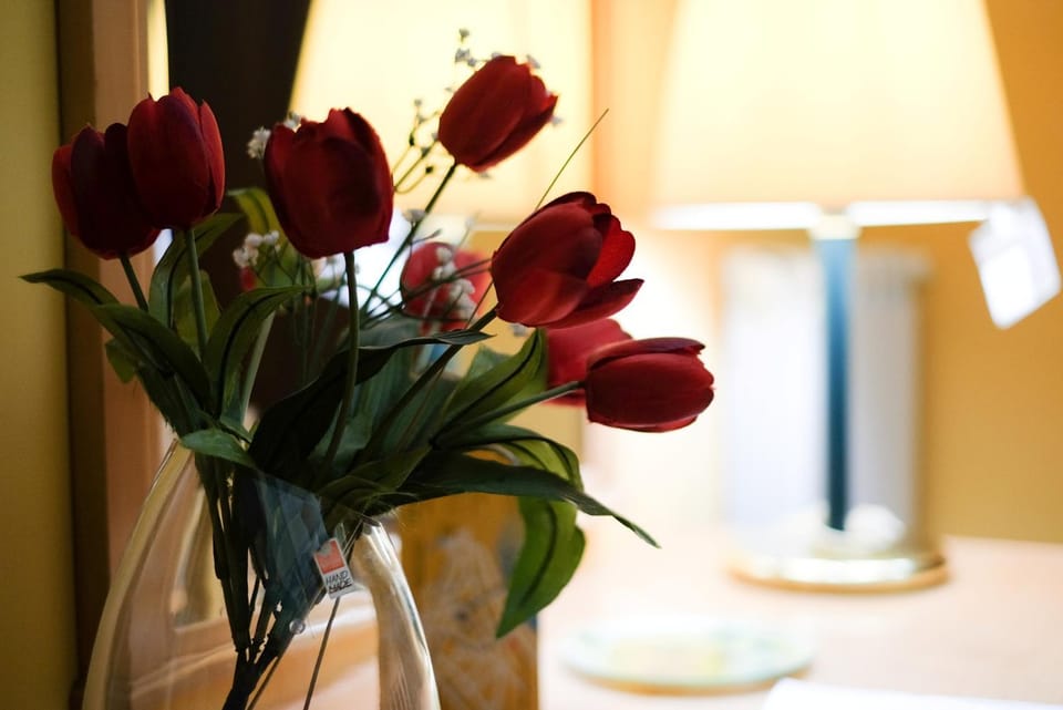 Rodoflor Rooms Bed and Breakfast in Castellammare di Stabia