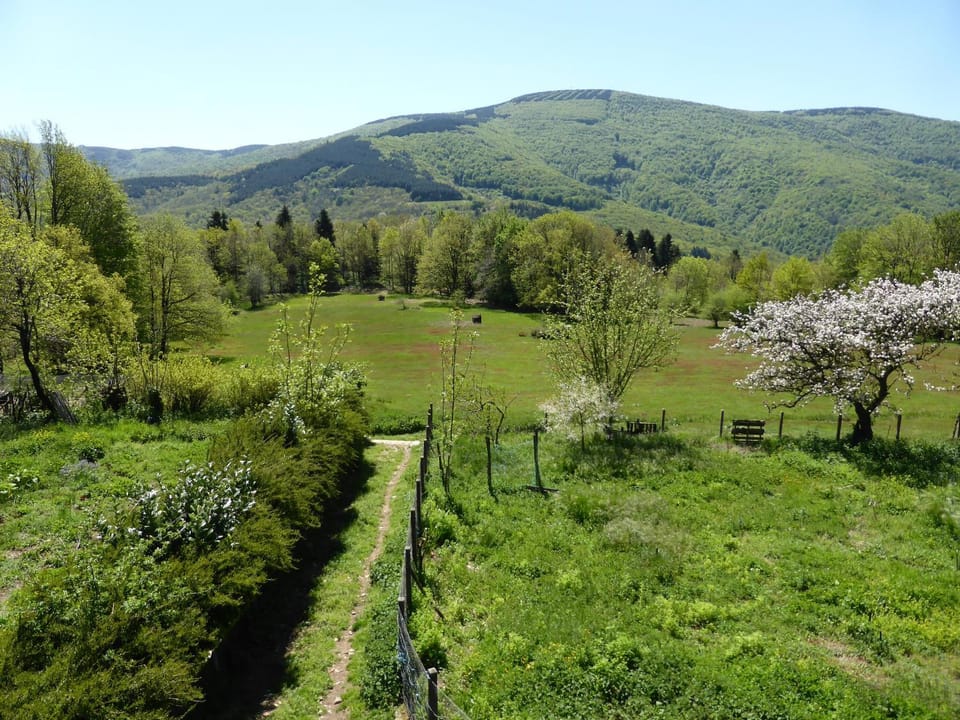 Natural landscape, Mountain view