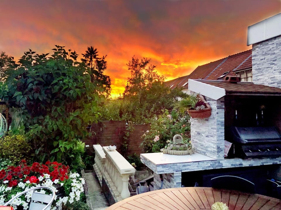 Garden, Garden view, Sunset