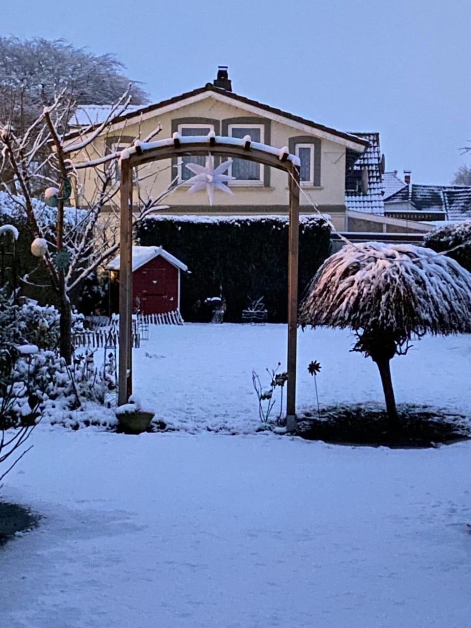 Winter, Garden