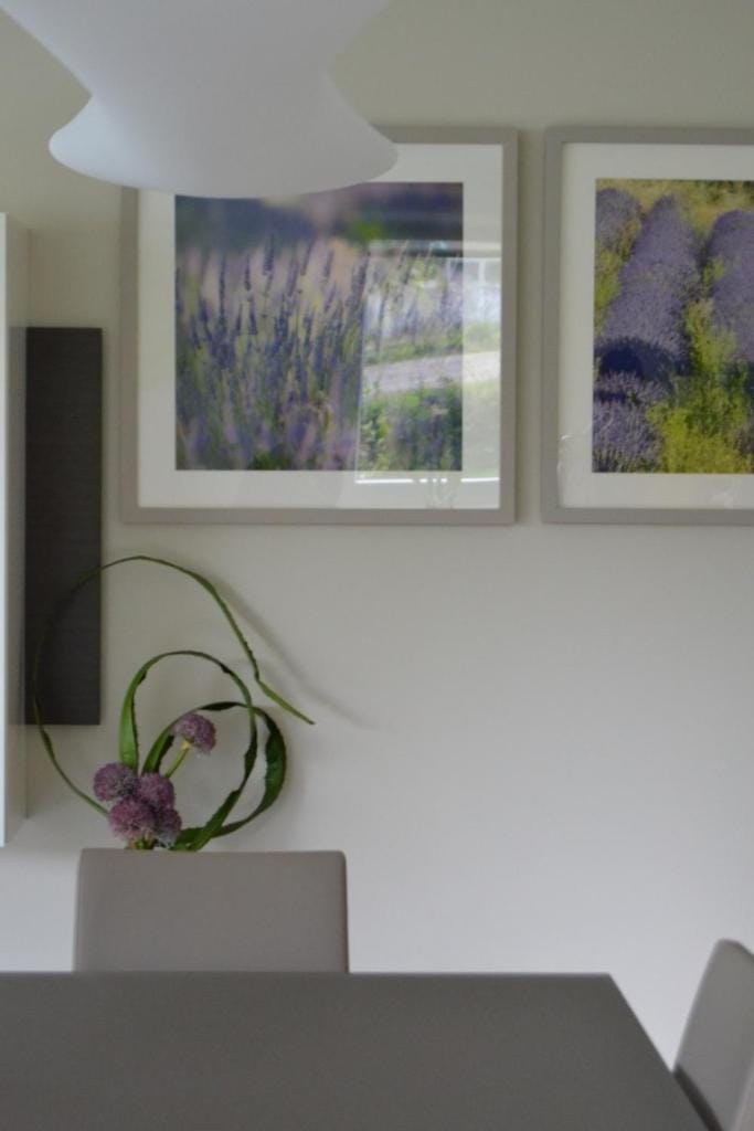 la terrasse du lac Apartment in Vielsalm