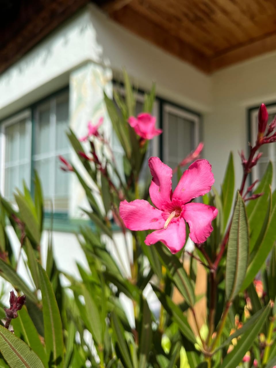 Appartement Bichl Apartment in Trentino-South Tyrol