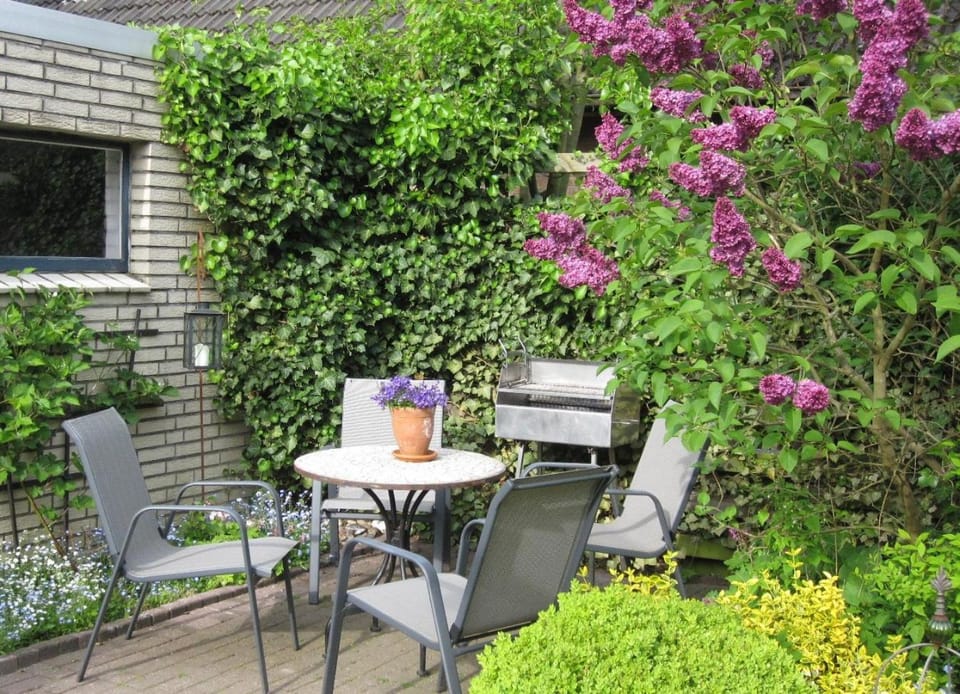 BBQ facilities, Garden