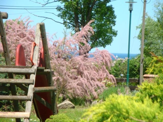 Children play ground, Garden, Sea view