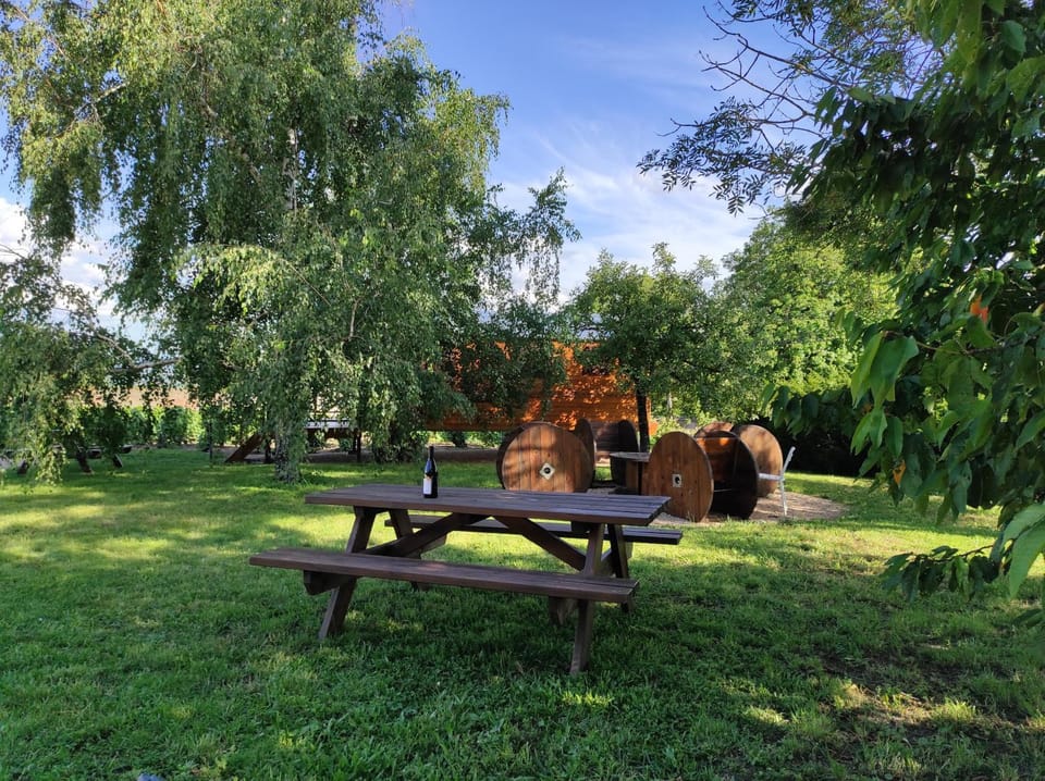 Natural landscape, Garden, Garden view