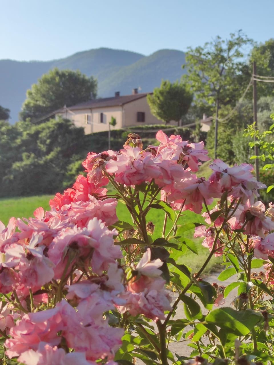 Il Casaletto di Simonetta Apartment in Umbria