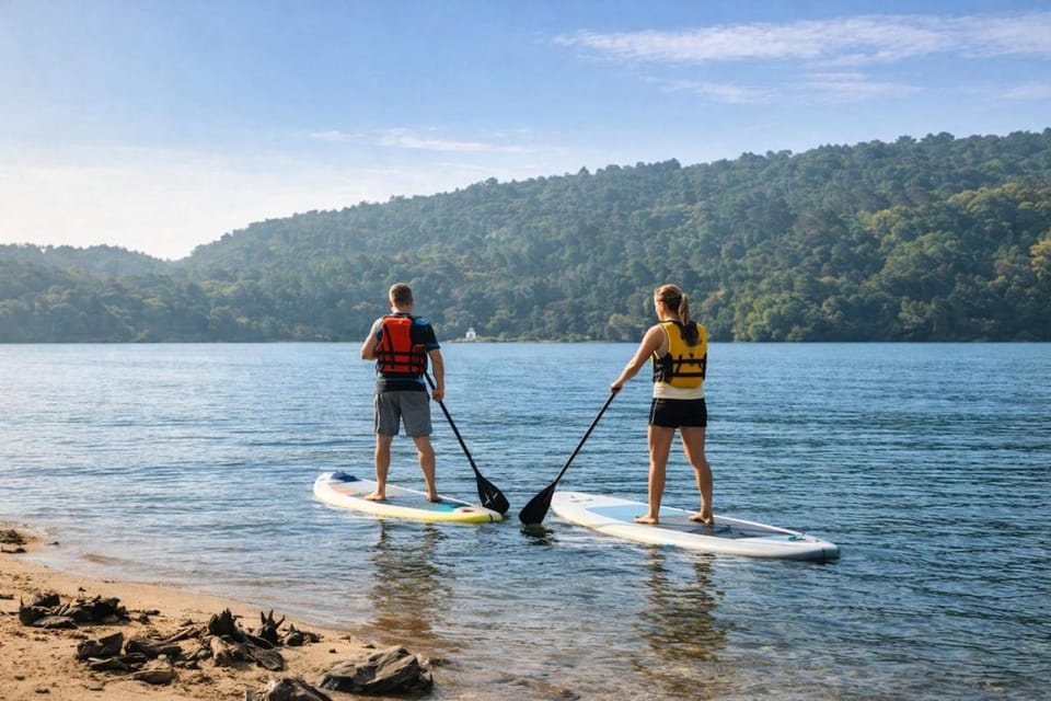 Quinta do Regato Douro Farm Stay in Porto District