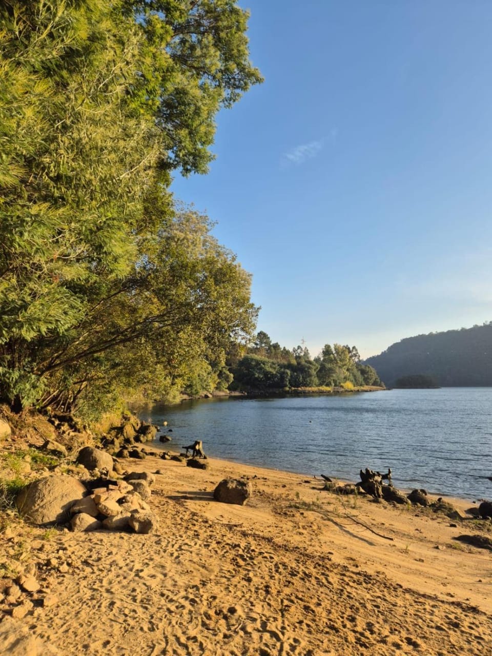 Quinta do Regato Douro Farm Stay in Porto District