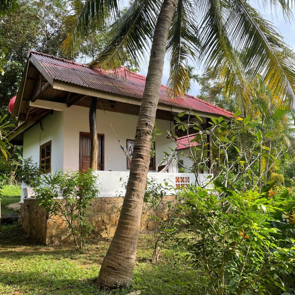 Garden, Bedroom, Garden view