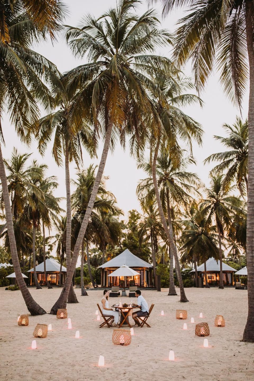 Activities, Food and drinks, Beach, Entertainment, Dinner, Alcoholic drinks, Non alcoholic drinks
