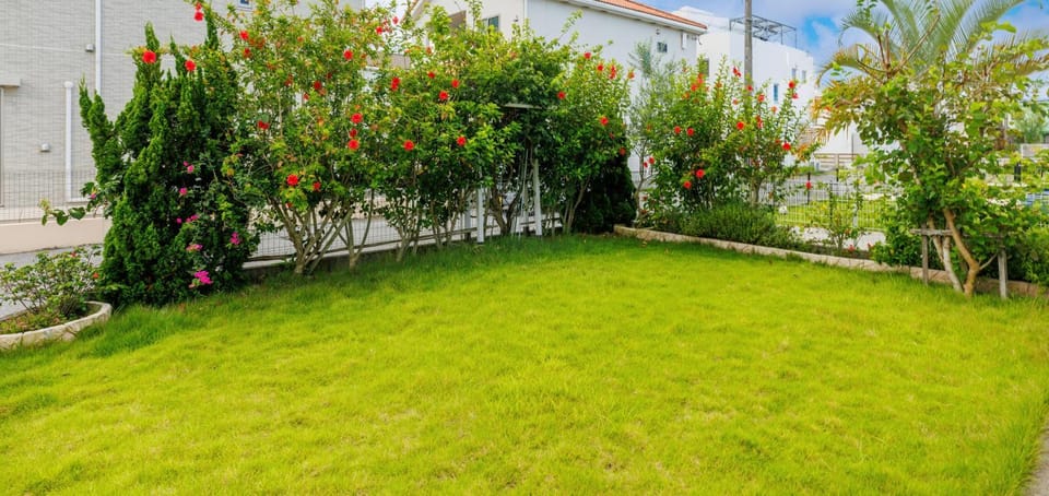 Day, Garden, Garden view